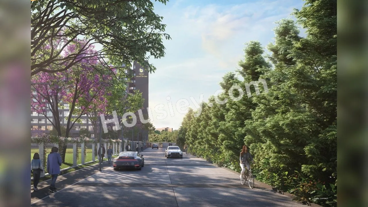 Project image 6
