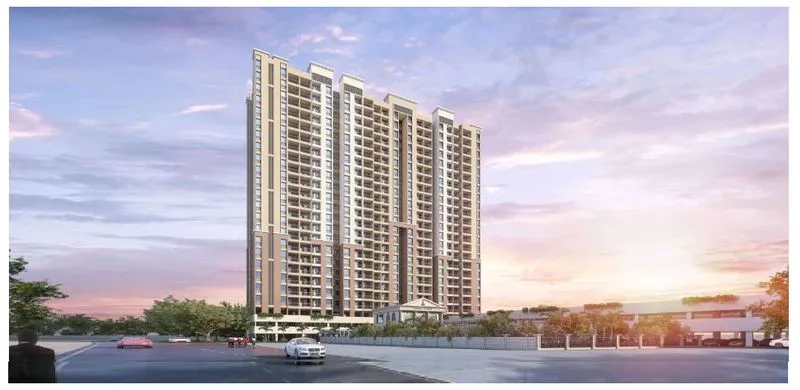 Dynamic Avante Phase 2