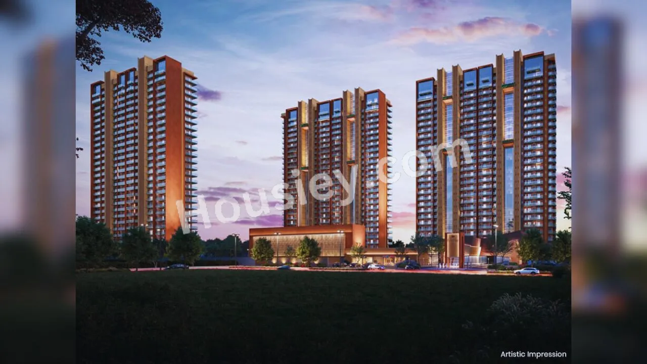 Project image 6