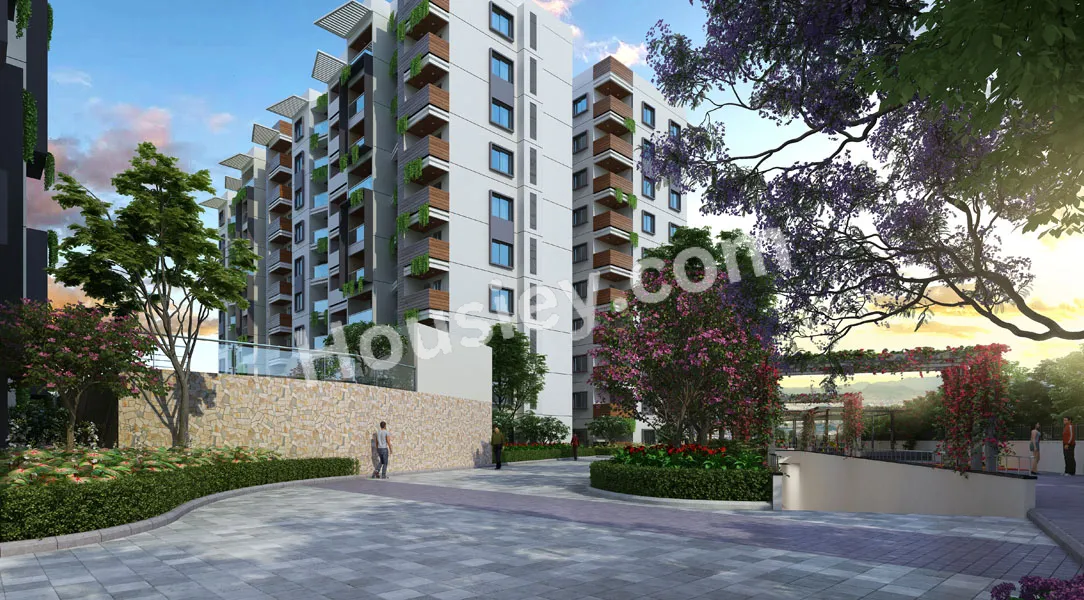 Project image 4