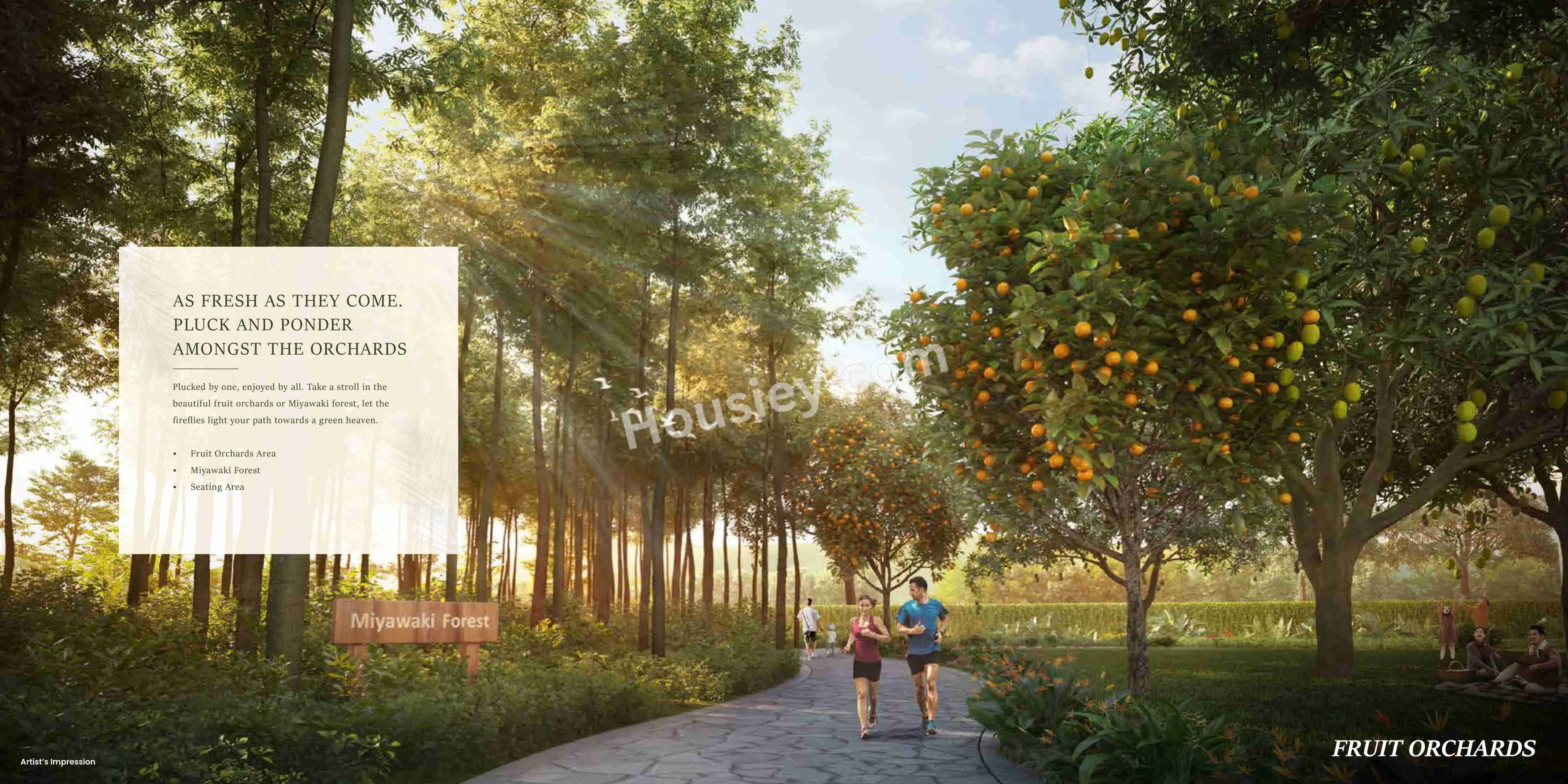 Project image 14