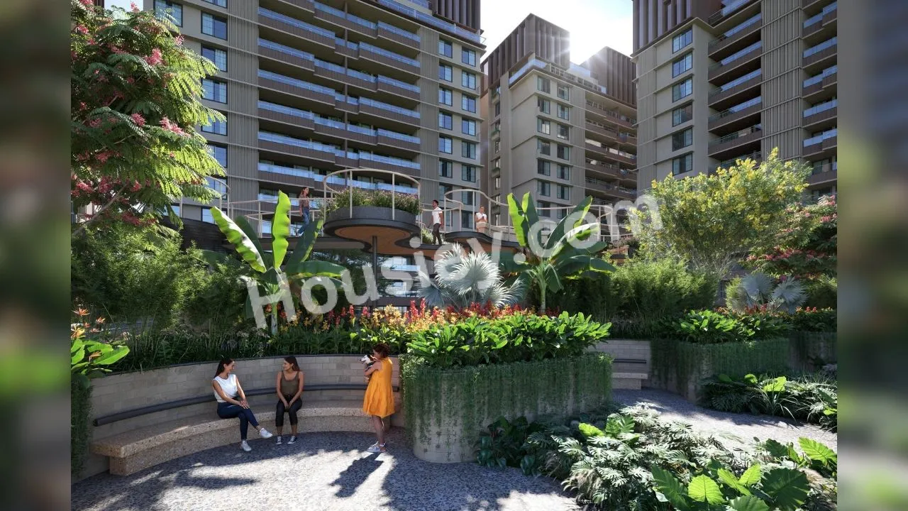 Project image 13