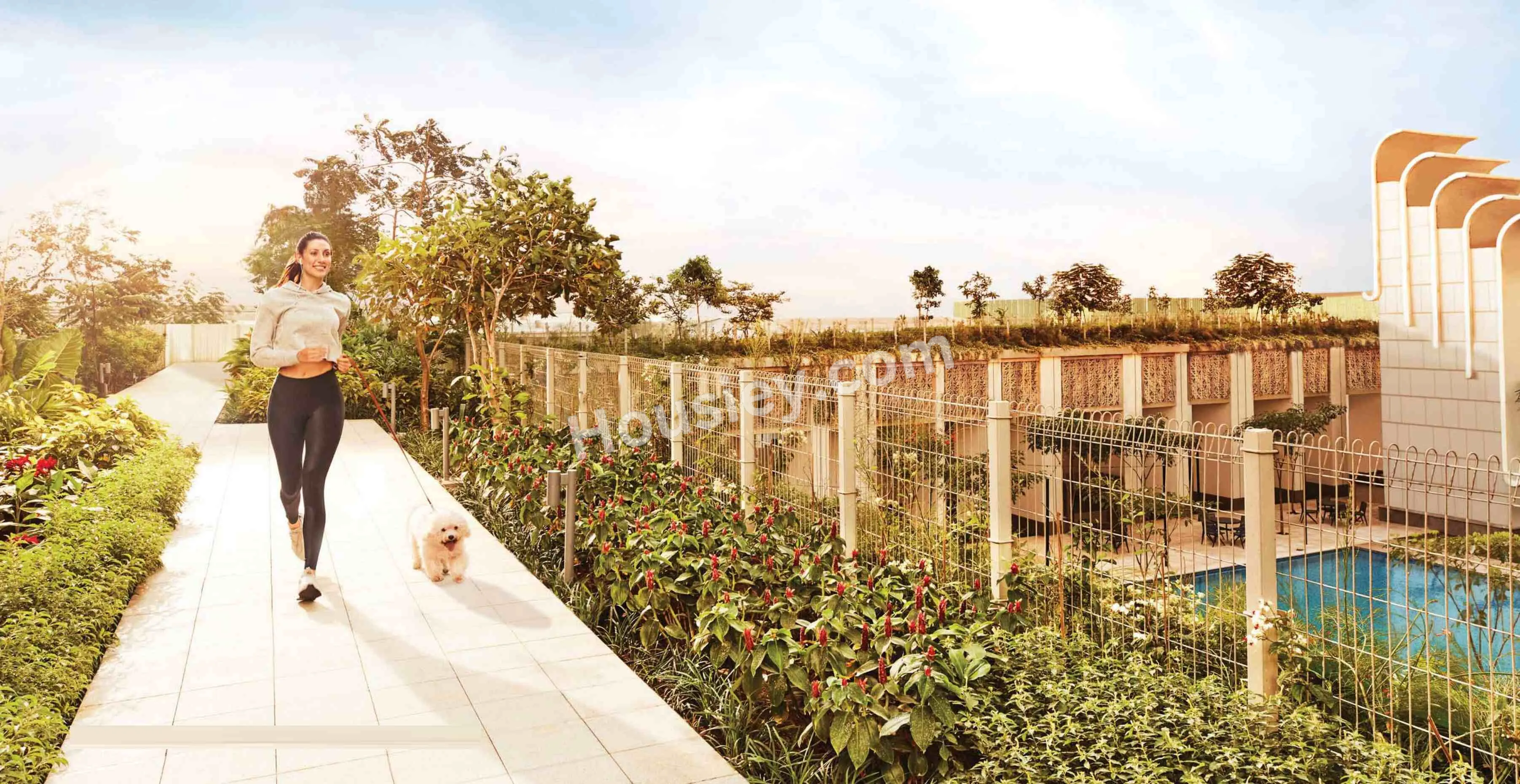 Project image 12