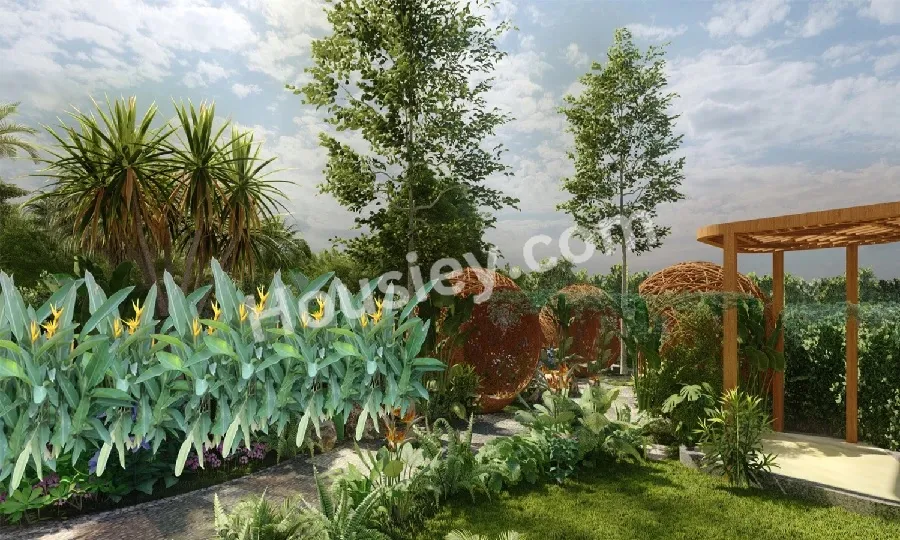 Project image 6