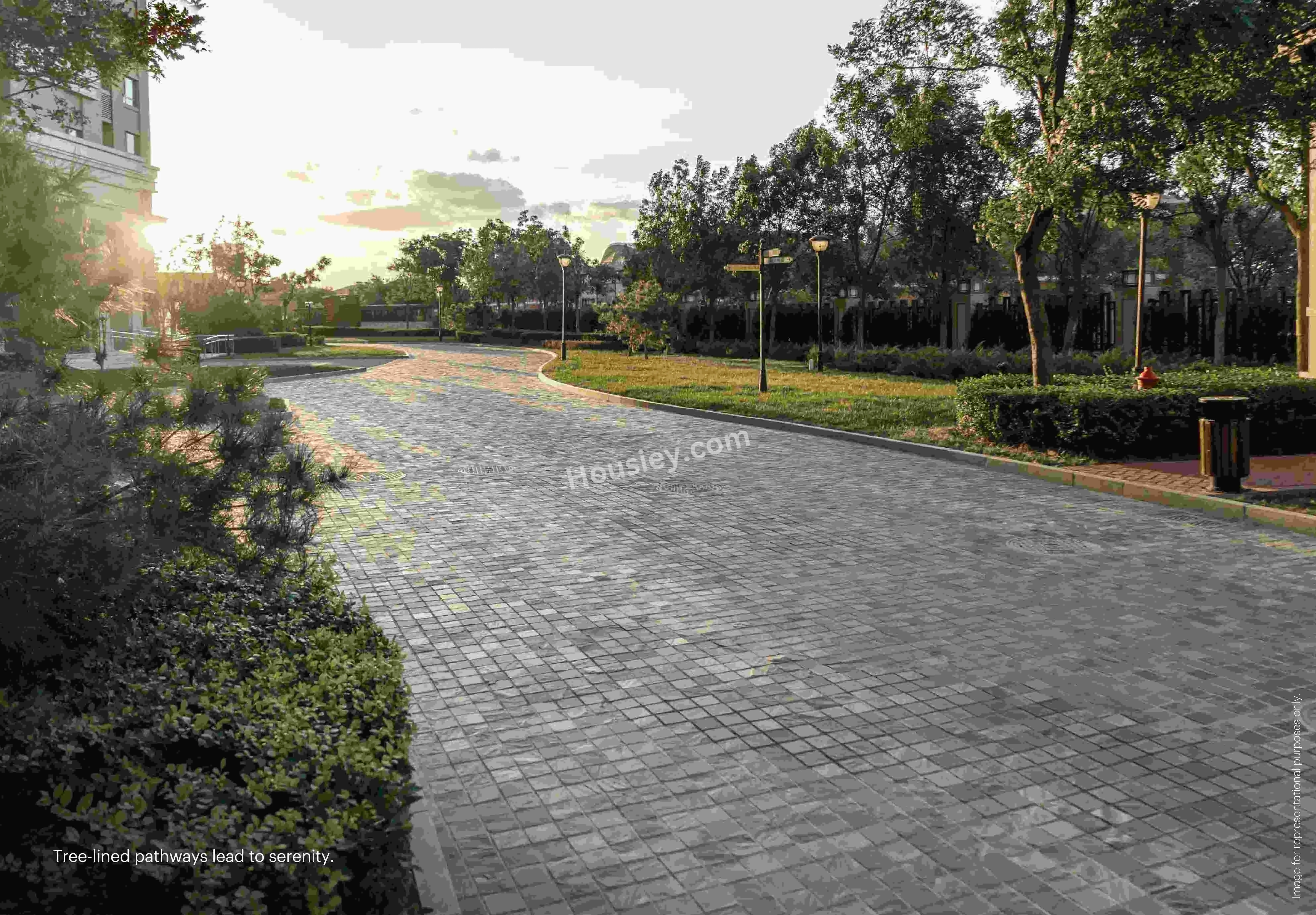 Project image 11