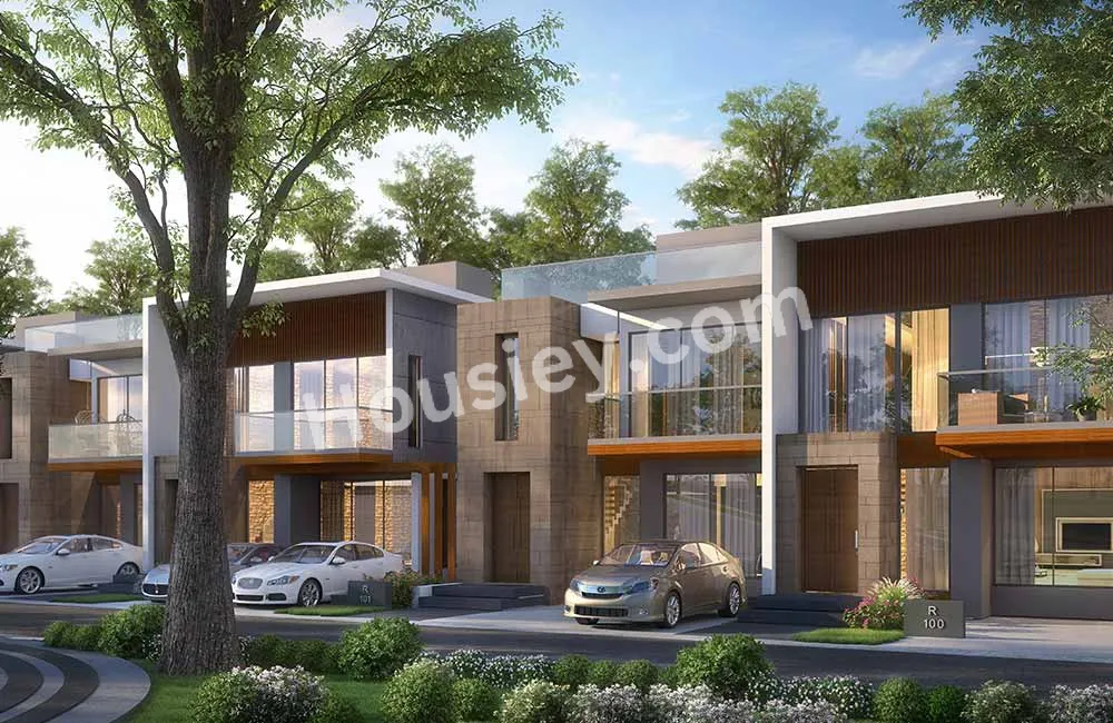 Project image 13