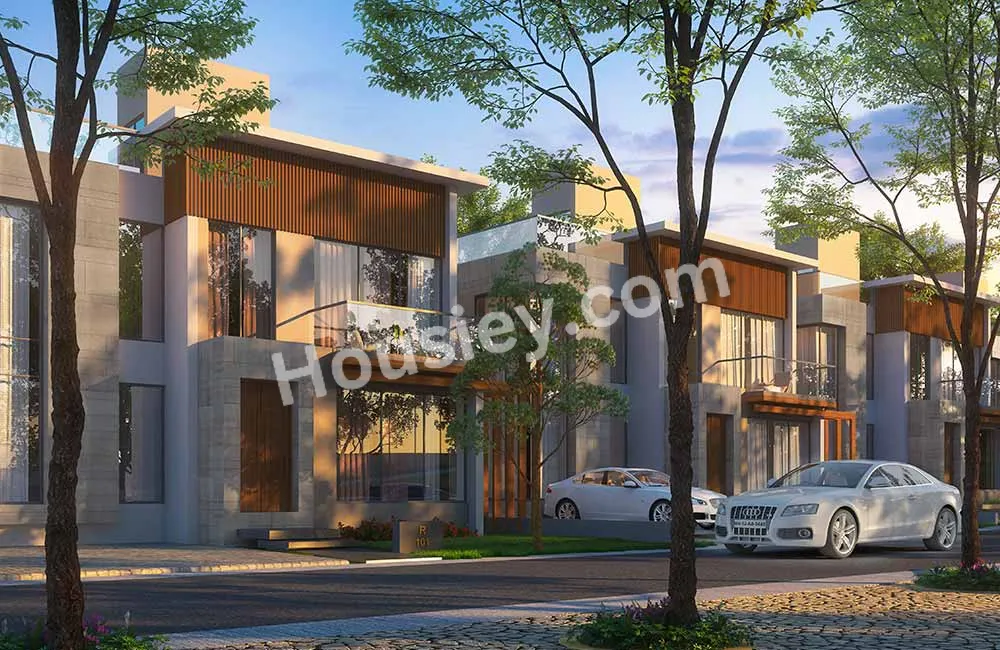Project image 15