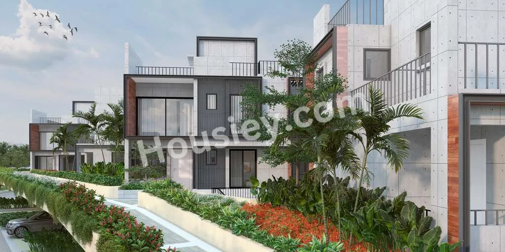 Project image 11