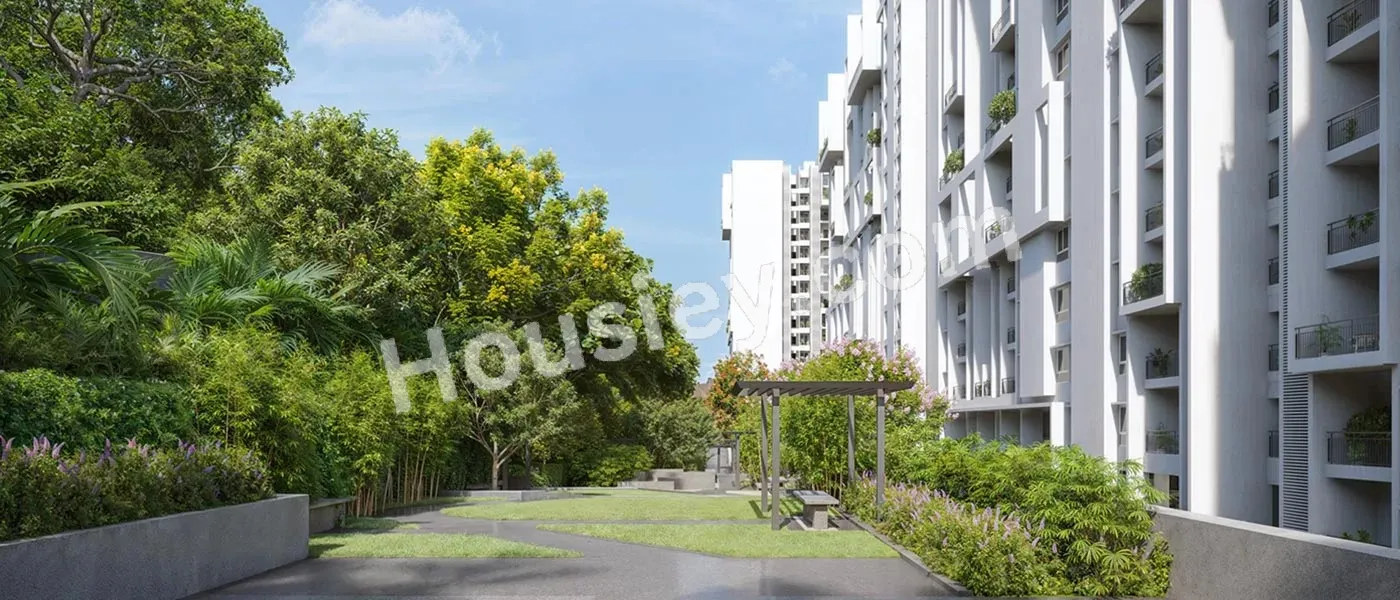 Project image 6