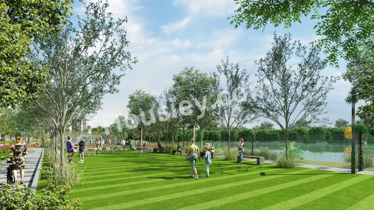 Project image 11