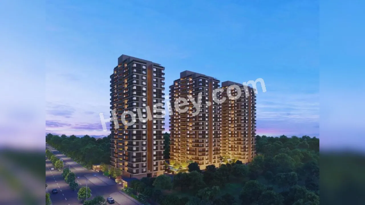 Project image 6
