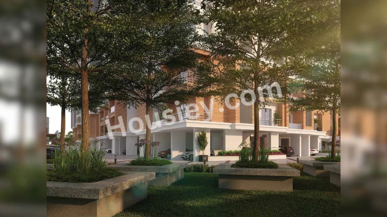 Project image 7