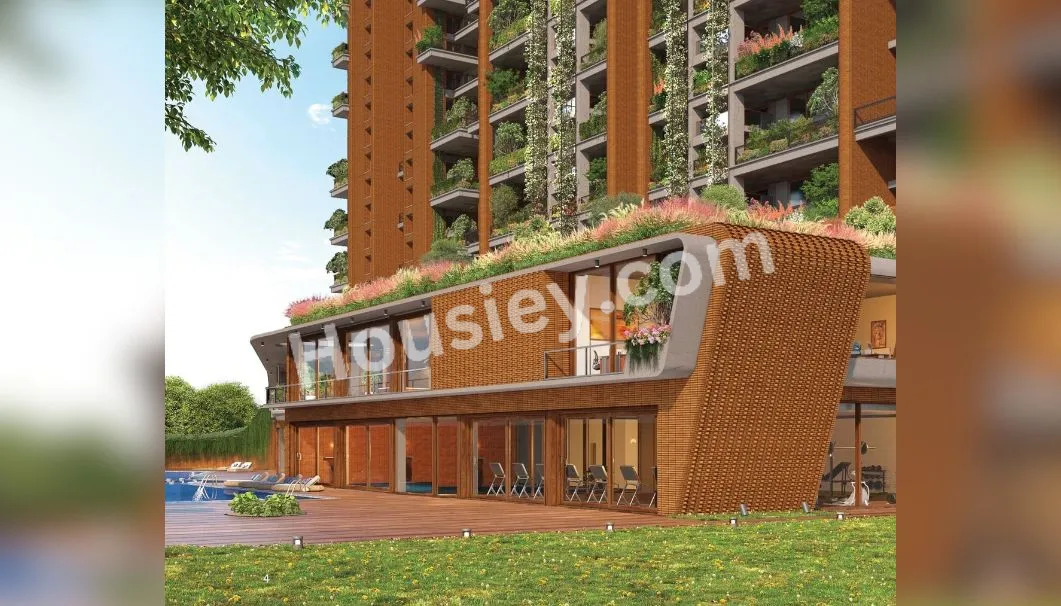 Project image 4