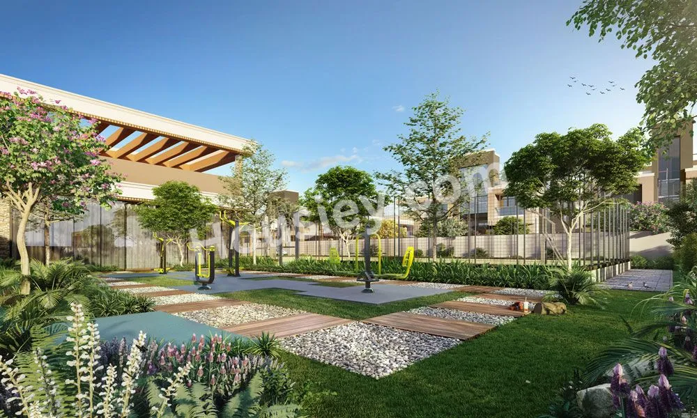 Project image 15