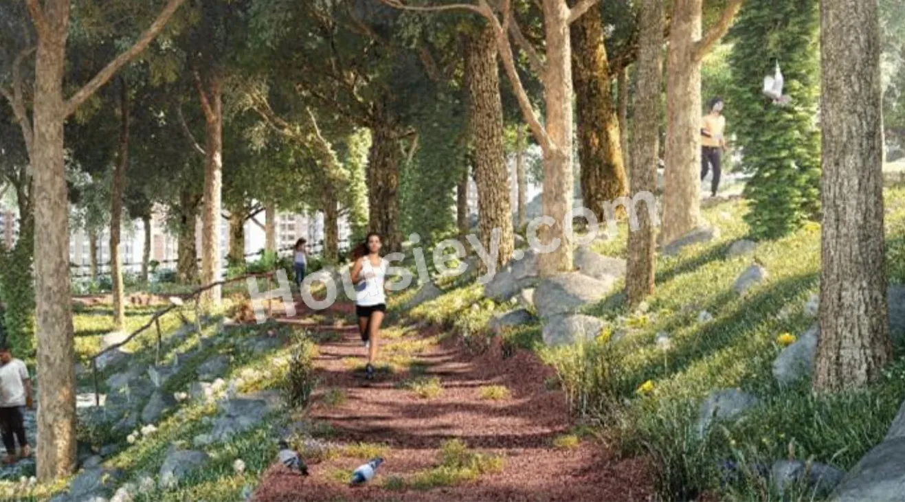 Project image 4
