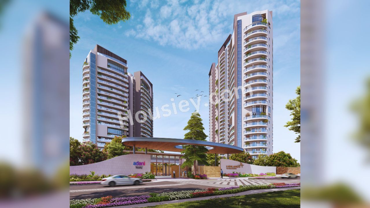 Project image 6