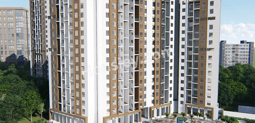Project image 7