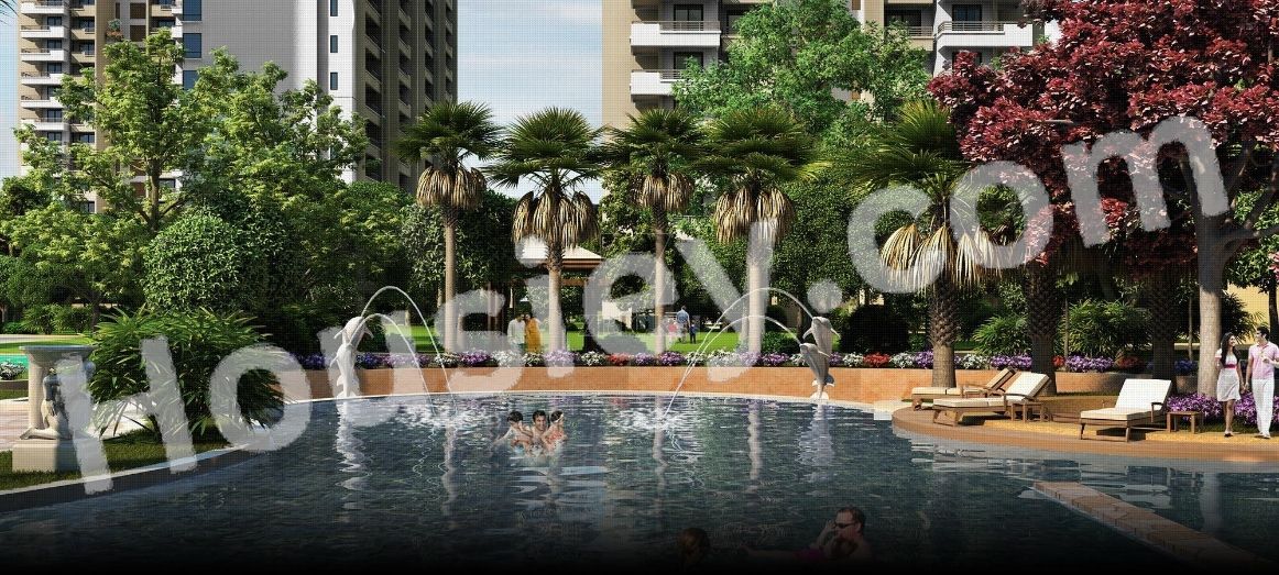 Project image 8
