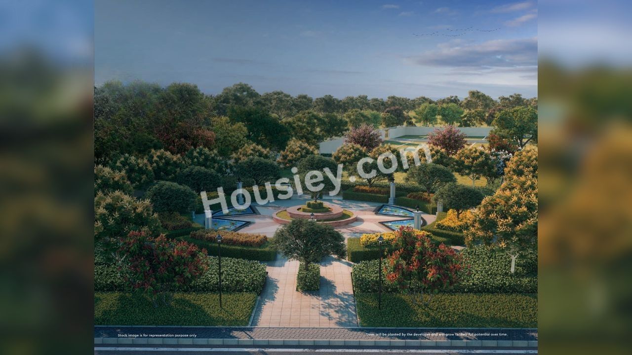 Project image 5
