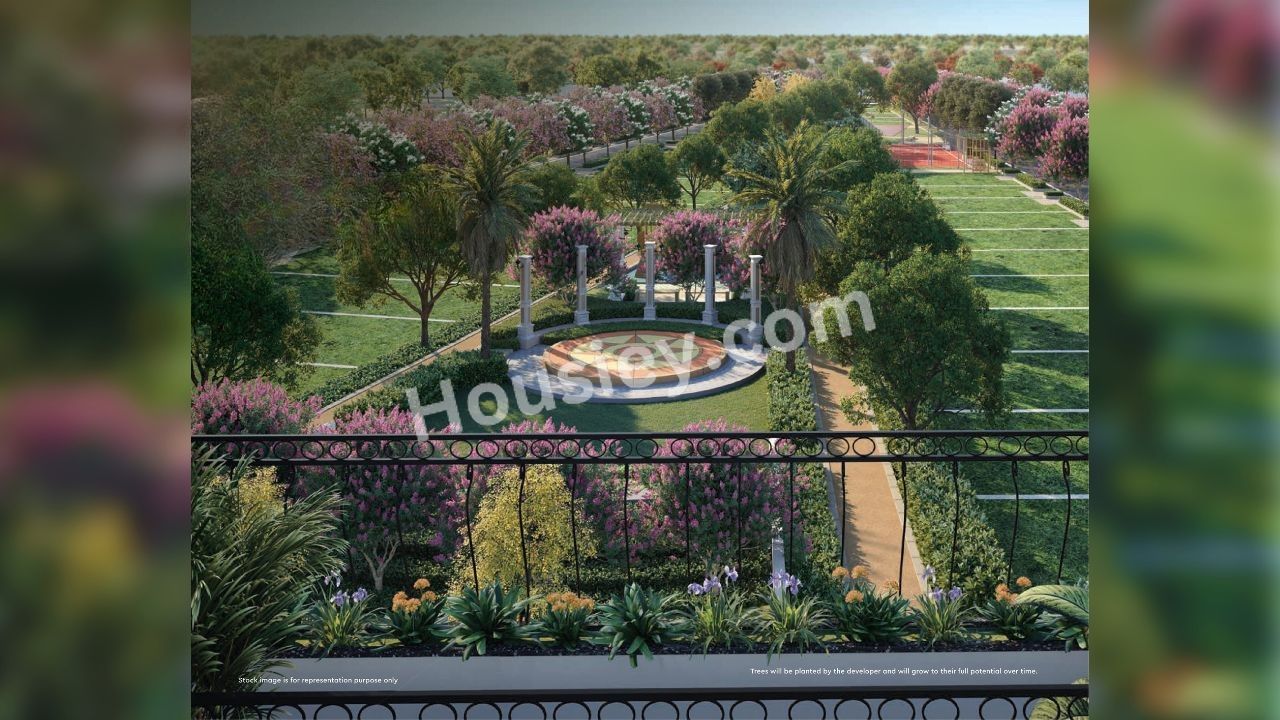 Project image 6