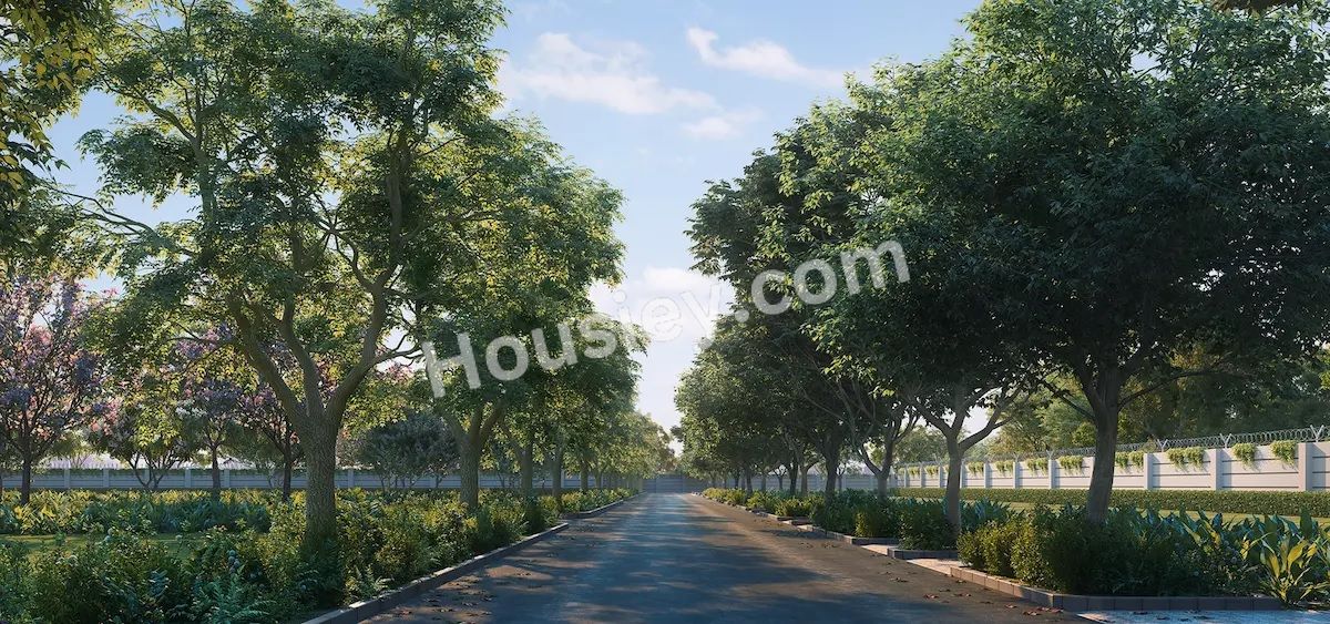 Project image 12