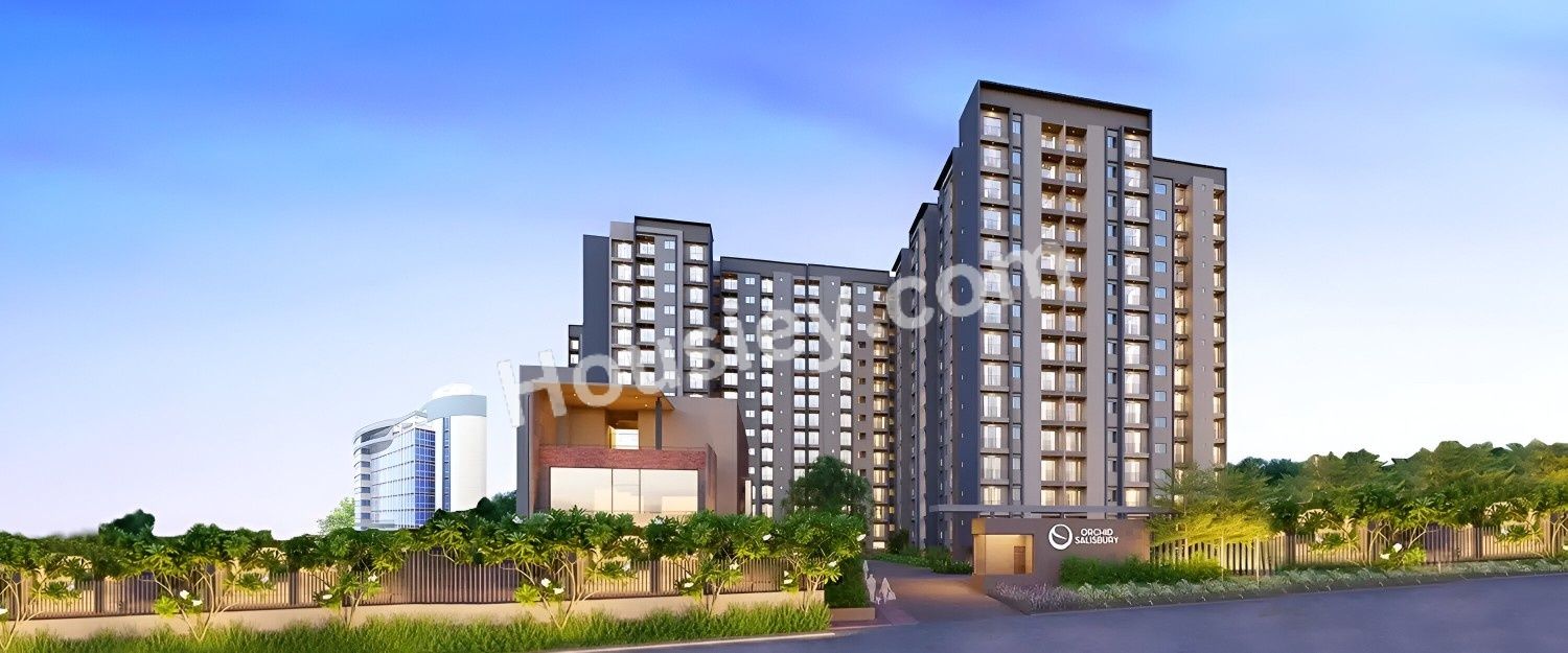 Goyal Orchid Salisbury