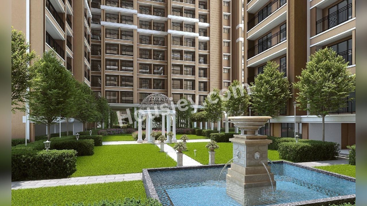 Project image 5