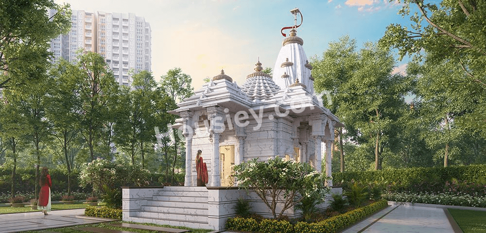 Project image 15