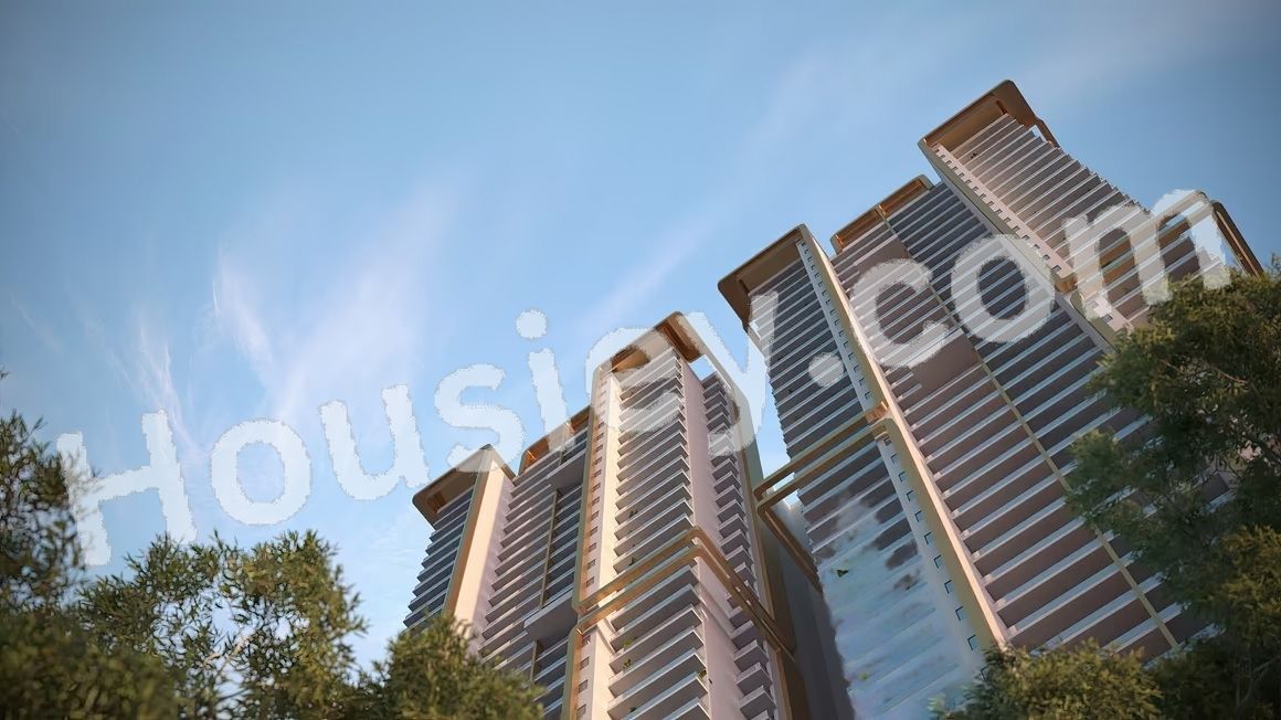 Project image 6