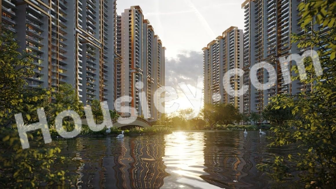 Project image 11