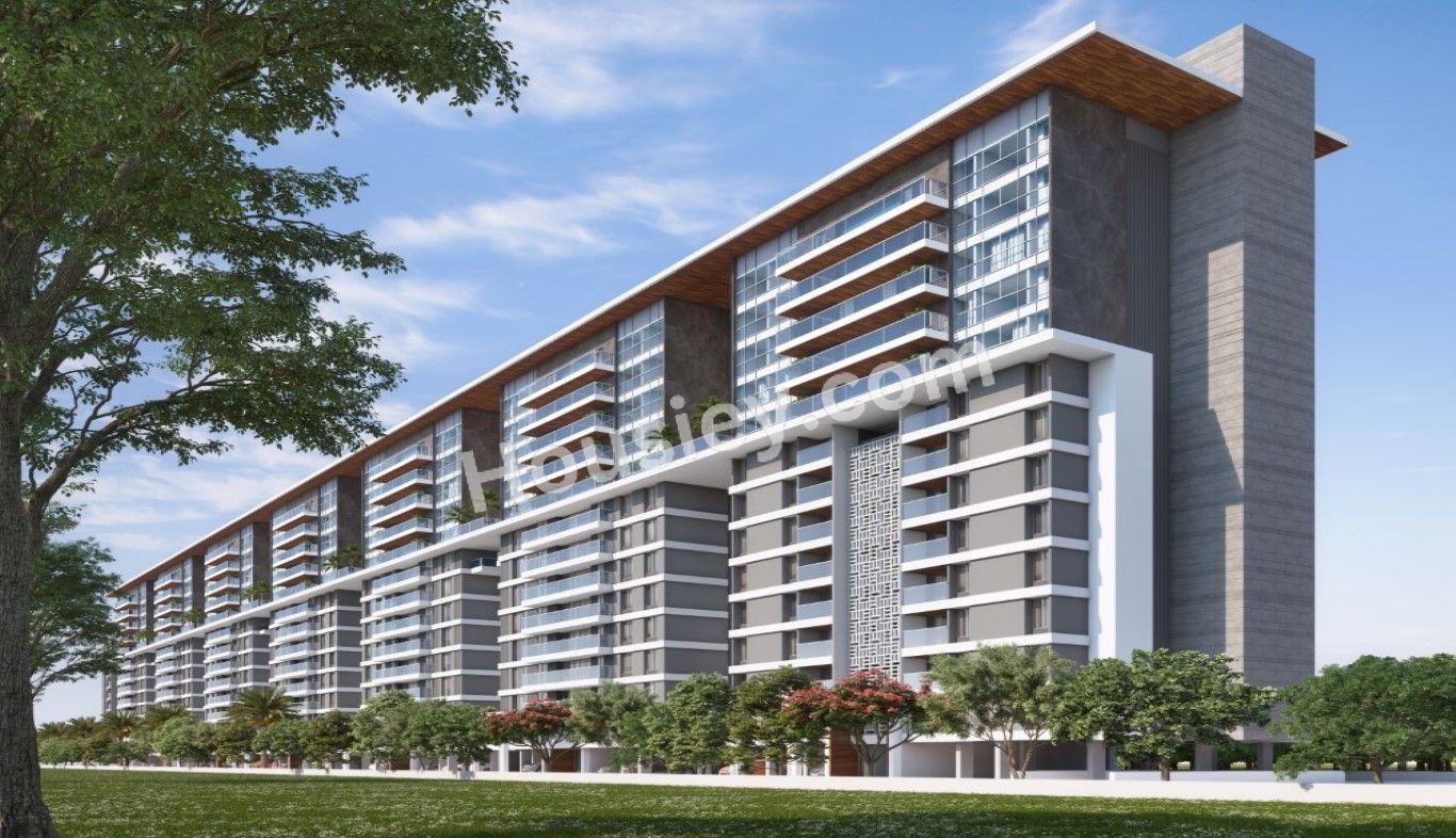Project image 11