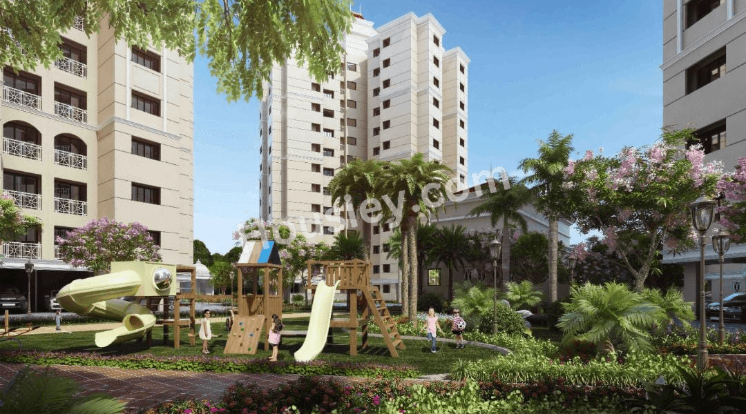 Project image 13