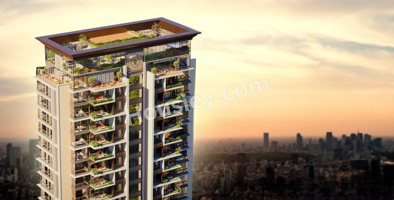 Project image 6