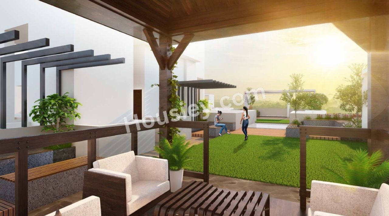 Project image 8