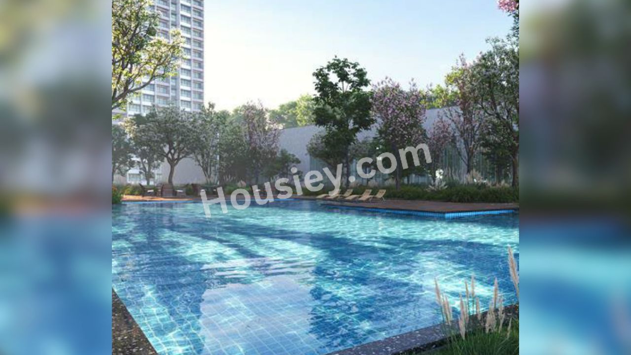 Project image 13