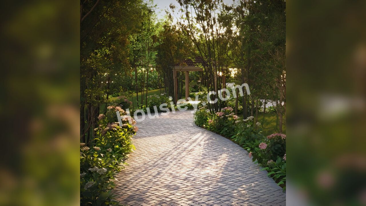 Project image 11