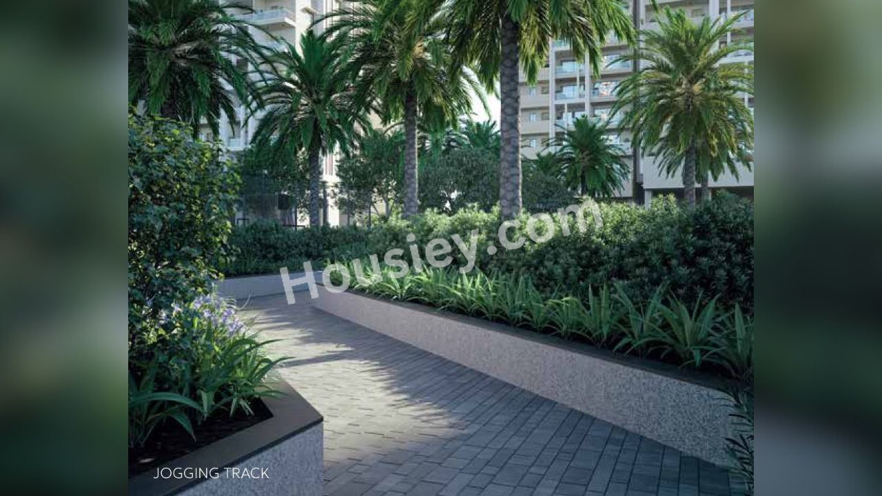 Project image 16