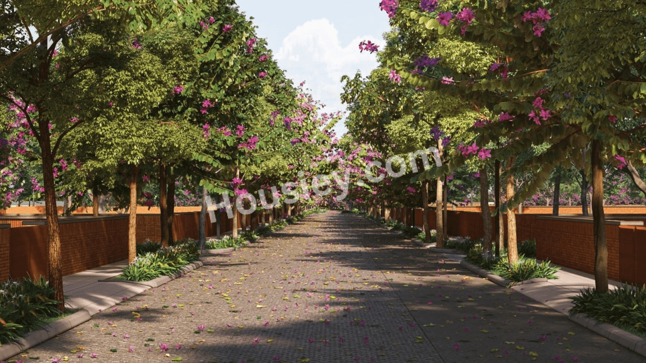 Project image 5