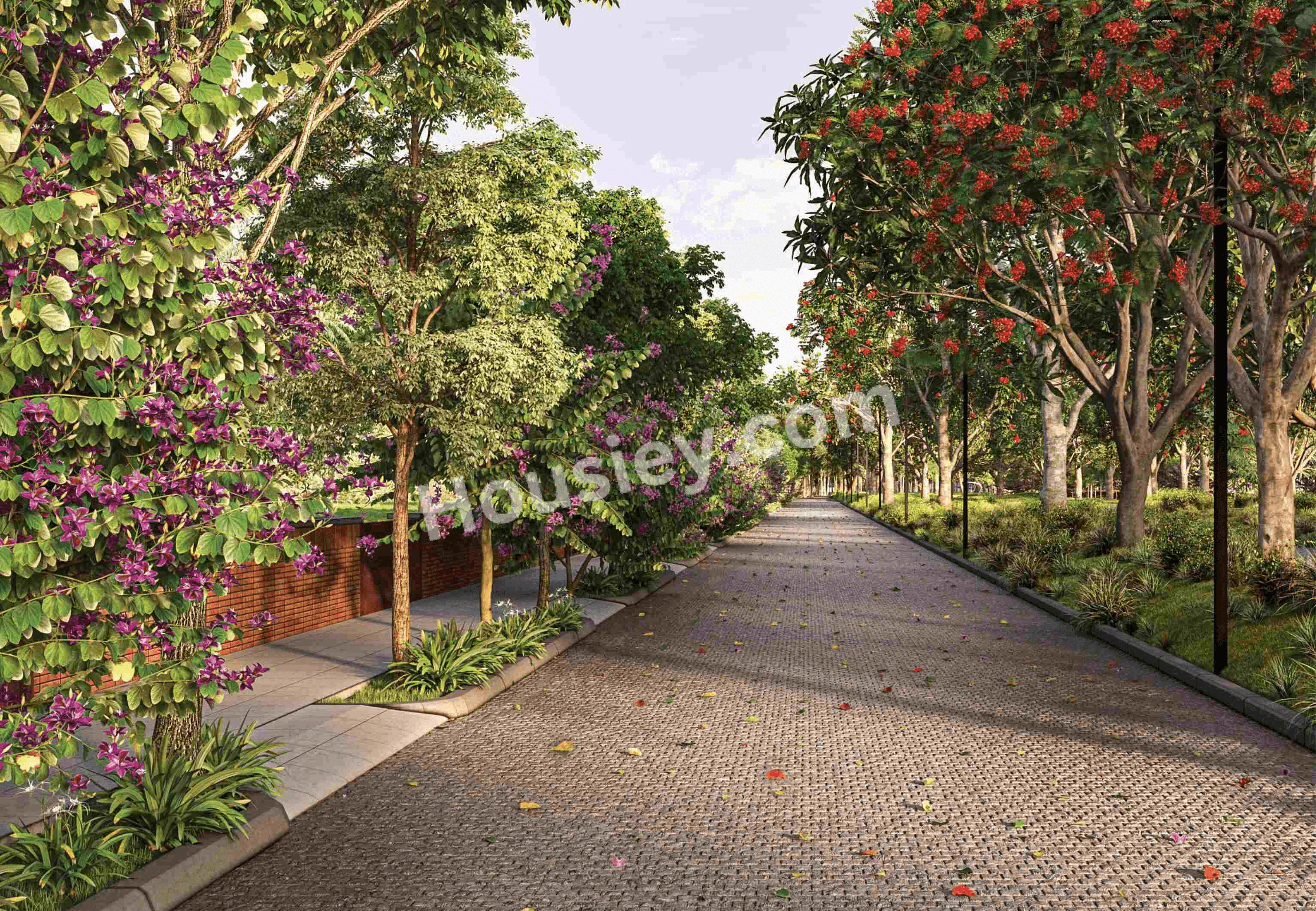 Project image 6