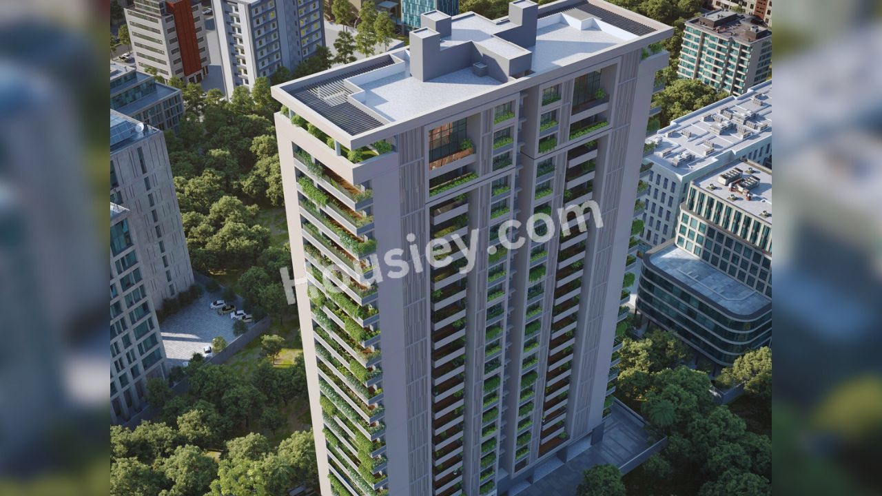Project image 9
