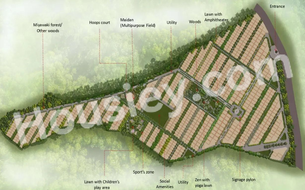 Project image 6