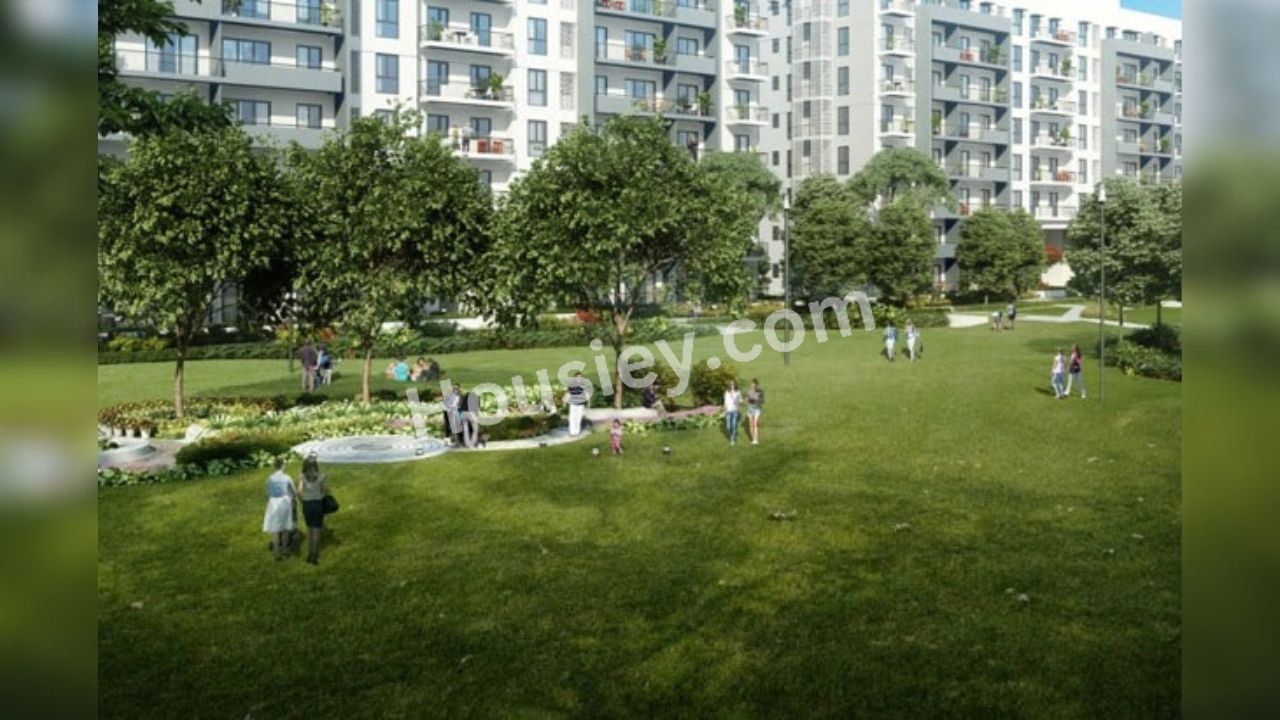 Project image 4